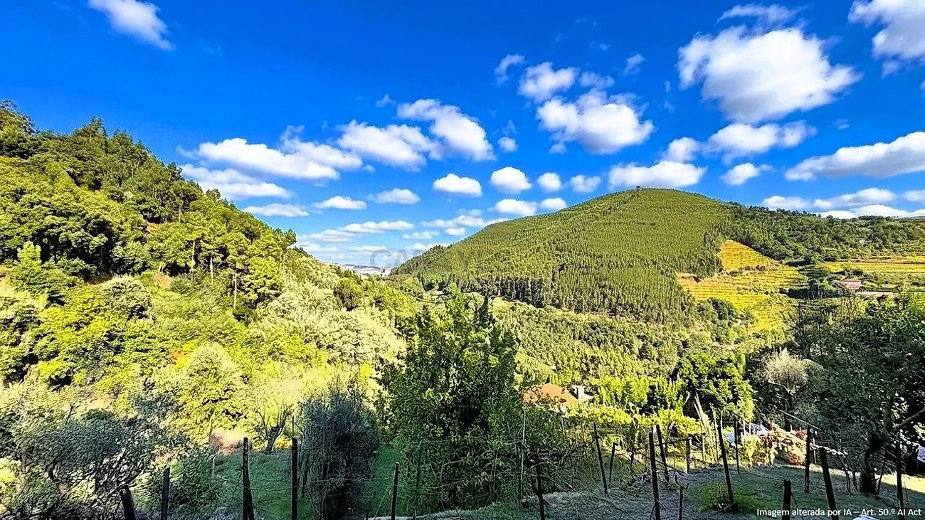 Moradia T4 à venda em Ancede e Ribadouro, Baião — foto 12