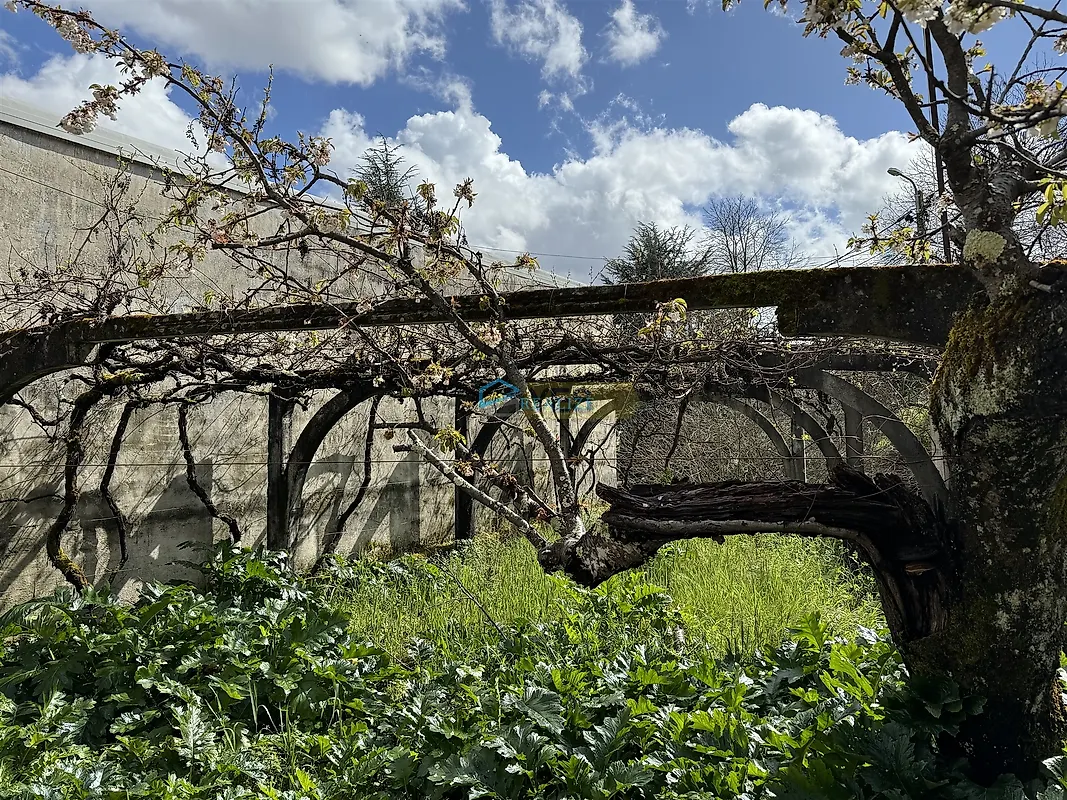 Apartamento T4 à venda em Boticas e Granja, Boticas — foto 11