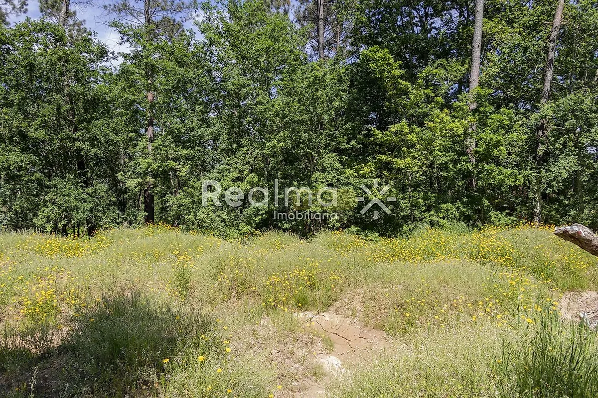 Moradia T3 à venda em Oleiros, Vila Verde — foto 13