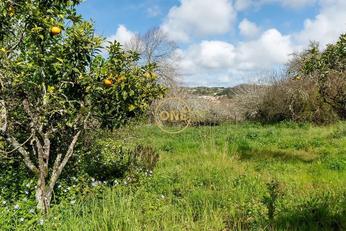 Moradia T1 à venda em Sapataria, Sobral de Monte Agraço — foto 17