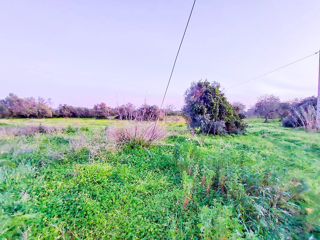 Moradia T3 à venda em Conceição e Estoi, Faro — foto 15