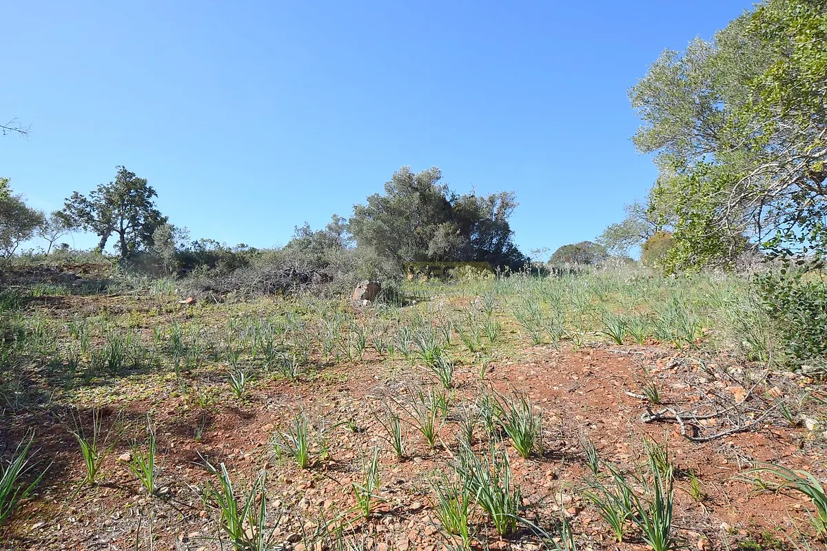 Moradia T0 à venda em Algoz e Tunes, Silves — foto 3
