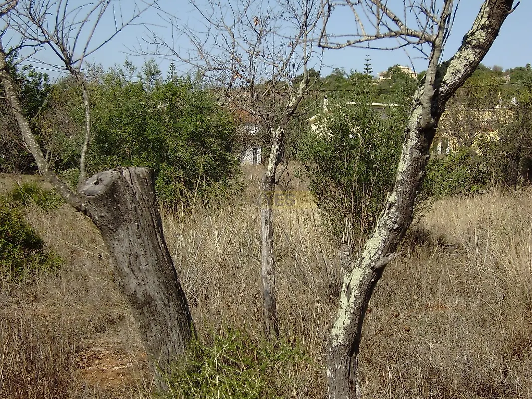 Moradia T0 à venda em São Clemente, Loulé — foto 6