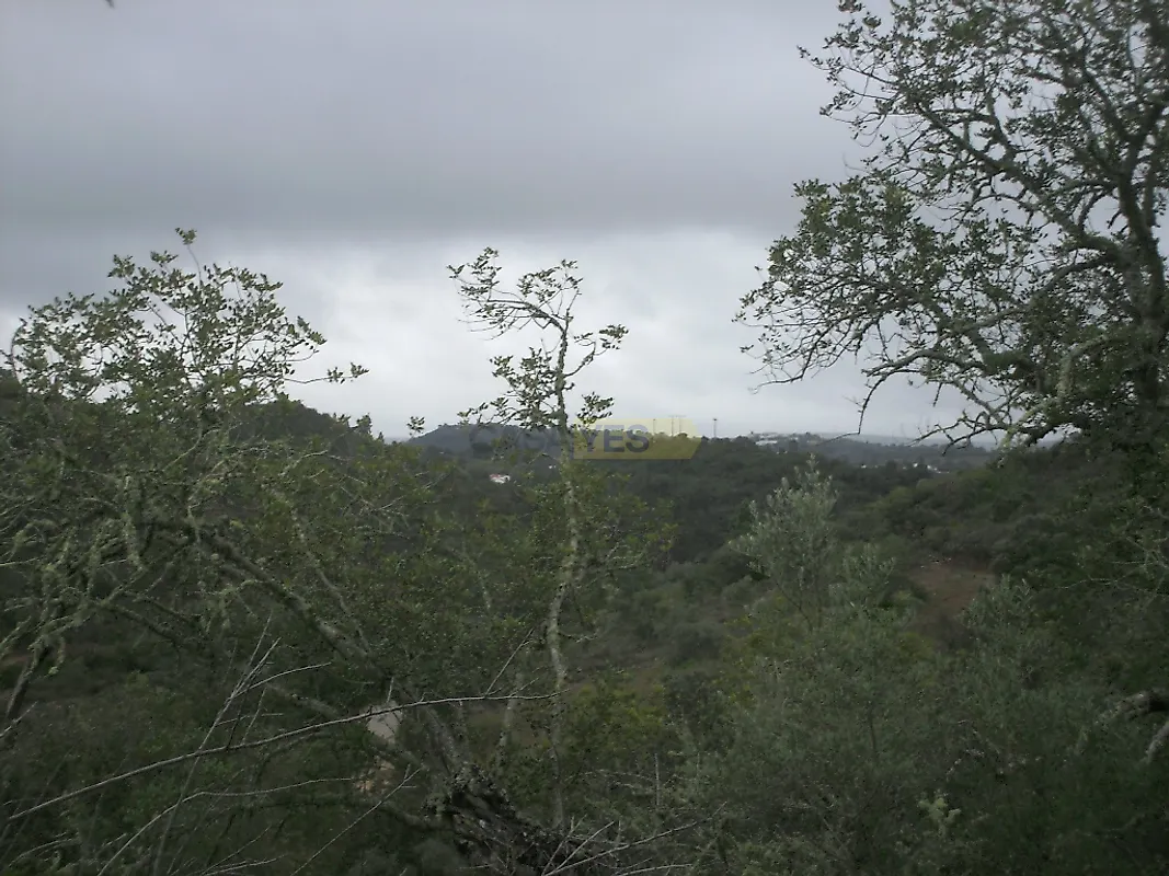 Moradia T0 à venda em Querença, Tôr e Benafim, Loulé — foto 3