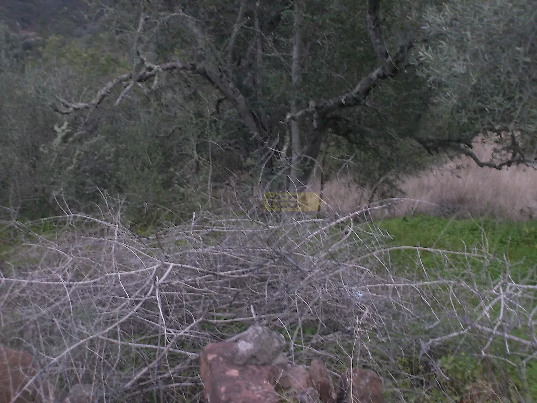 Moradia T0 à venda em Querença, Tôr e Benafim, Loulé — foto 4