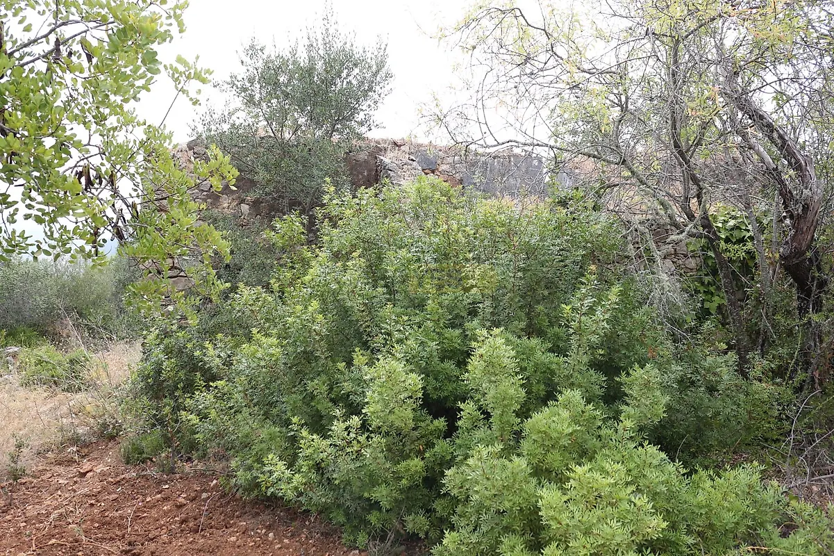 Moradia T0 à venda em Querença, Tôr e Benafim, Loulé — foto 3