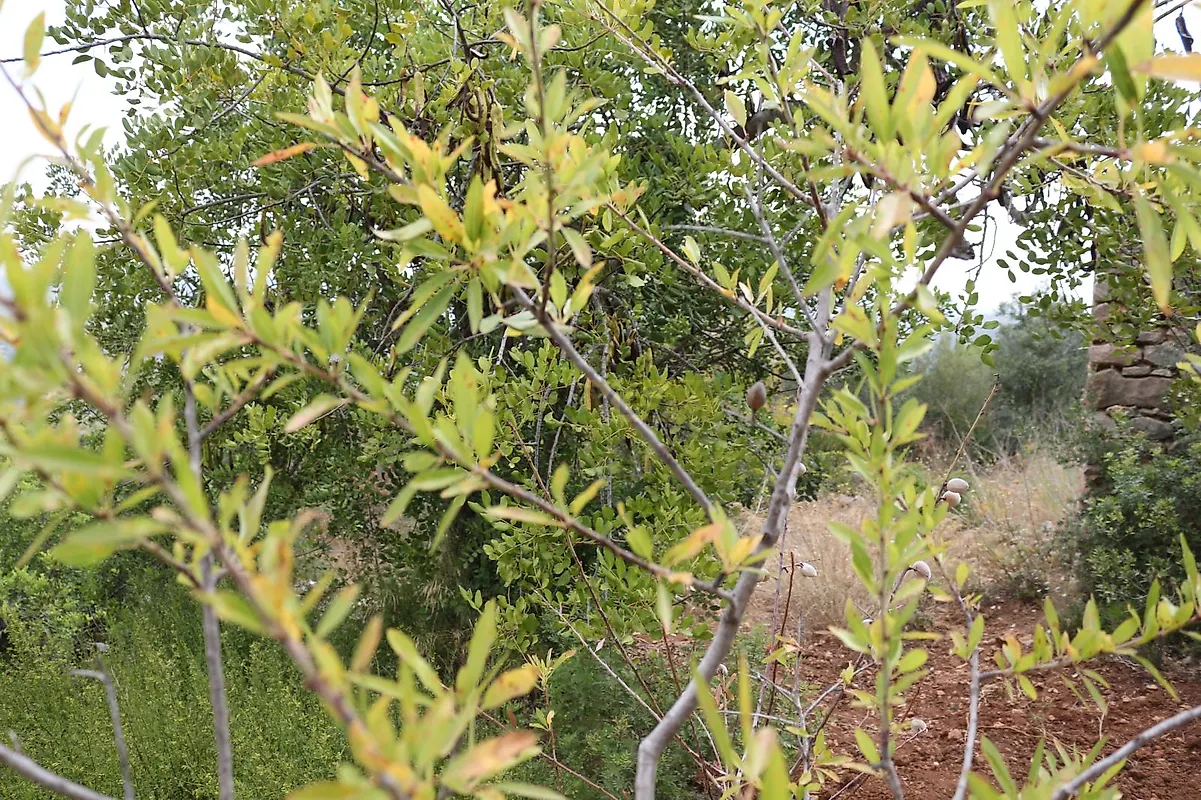 Moradia T0 à venda em Querença, Tôr e Benafim, Loulé — foto 4