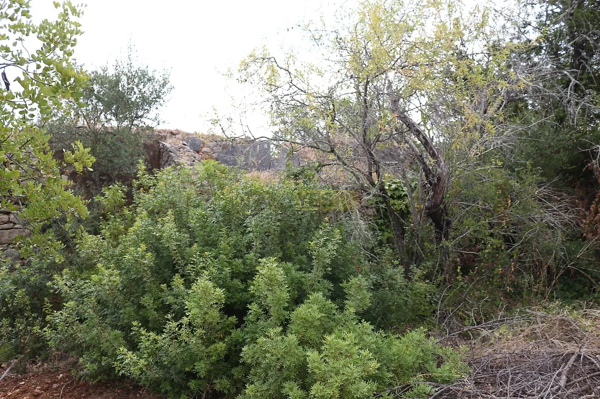 Moradia T0 à venda em Querença, Tôr e Benafim, Loulé — foto 7