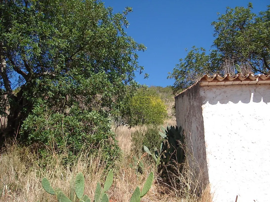 Moradia T0 à venda em Alte, Loulé — foto 6