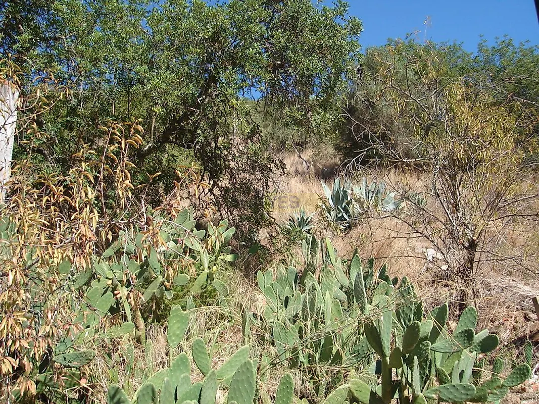 Moradia T0 à venda em Alte, Loulé — foto 12