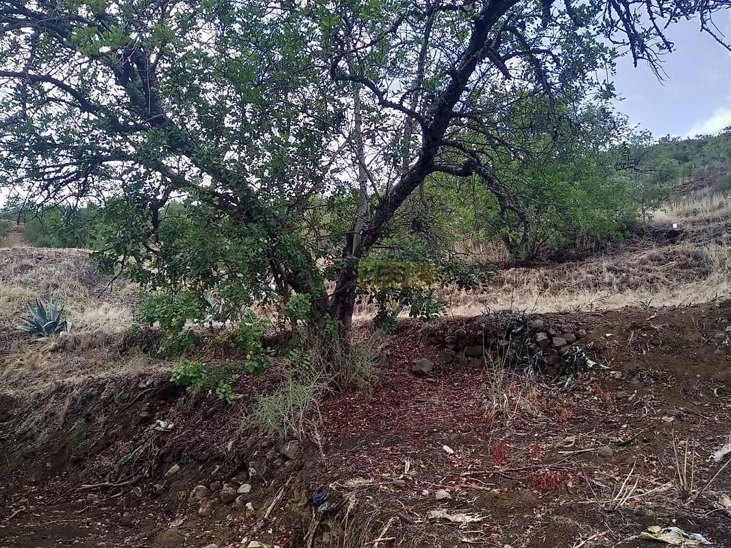 Moradia T0 à venda em Alte, Loulé — foto 14