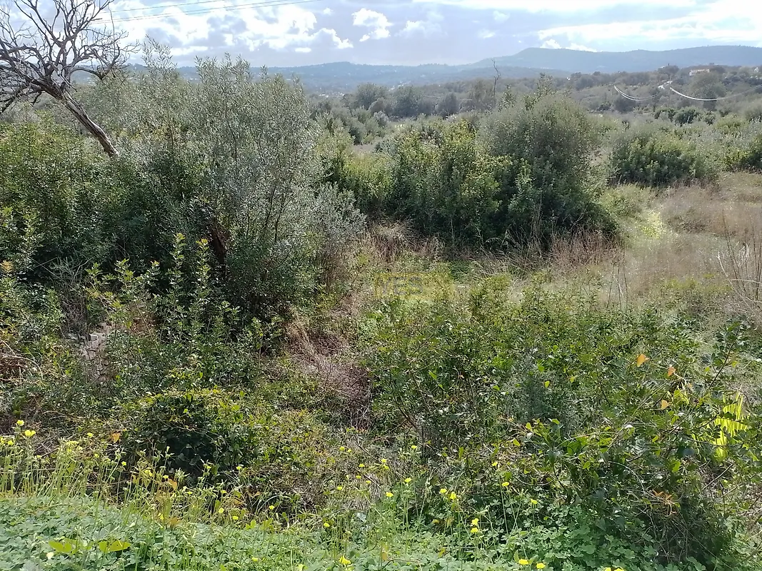 Moradia T0 à venda em São Clemente, Loulé — foto 3