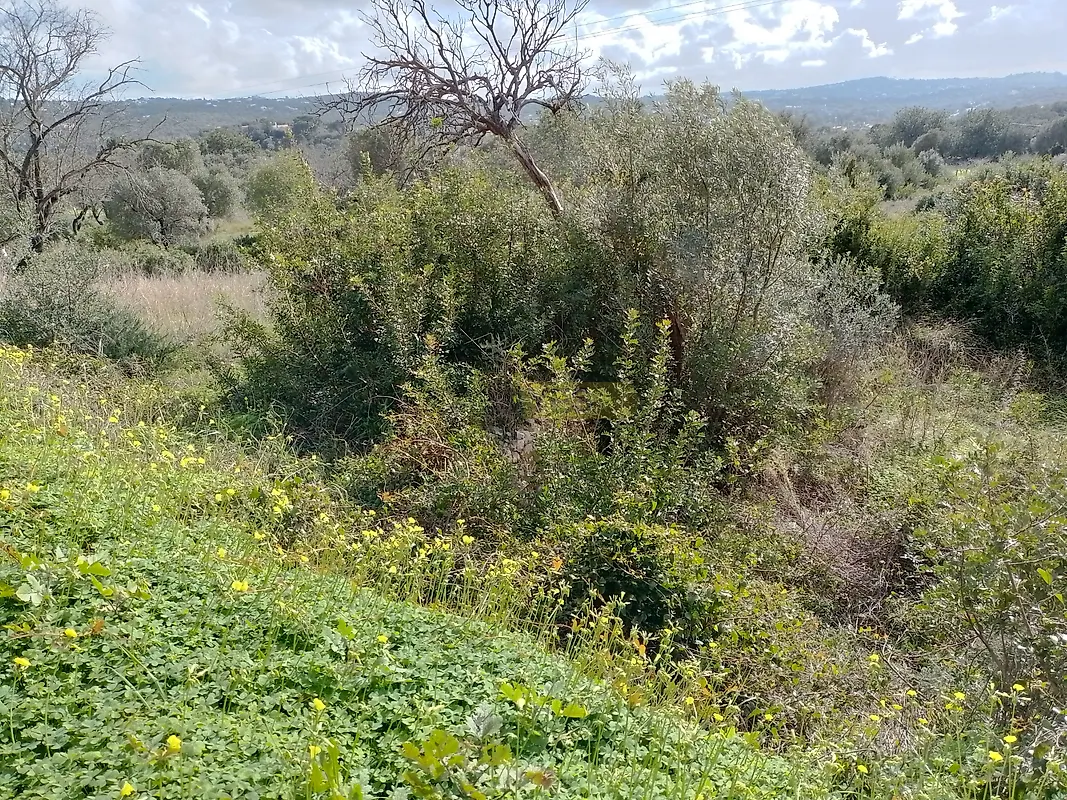 Moradia T0 à venda em São Clemente, Loulé — foto 4