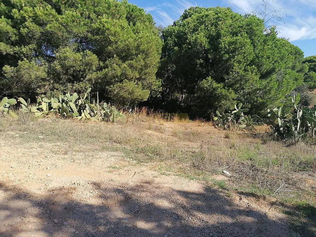 Moradia T0 à venda em Luz de Tavira e Santo Estêvão, Tavira — foto 6