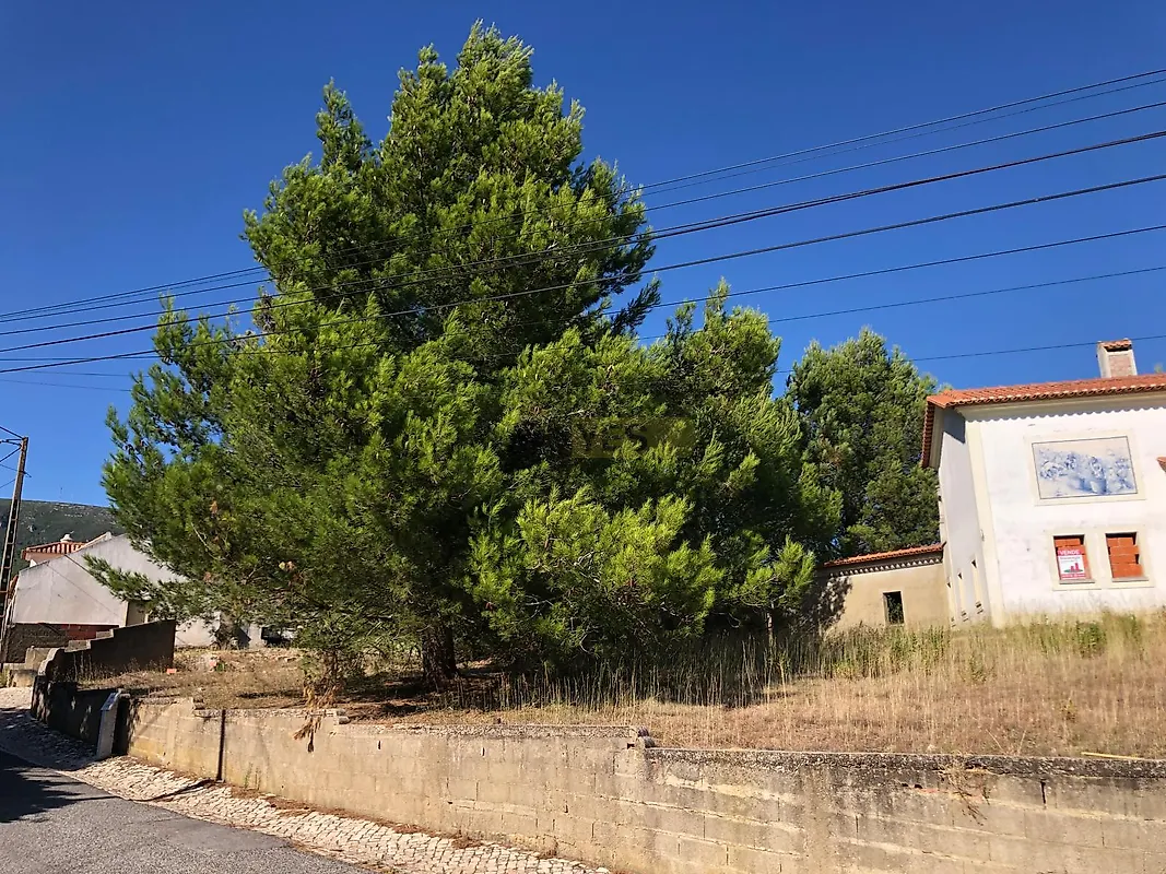 Moradia T6+ à venda em Lamas e Cercal, Cadaval — foto 6