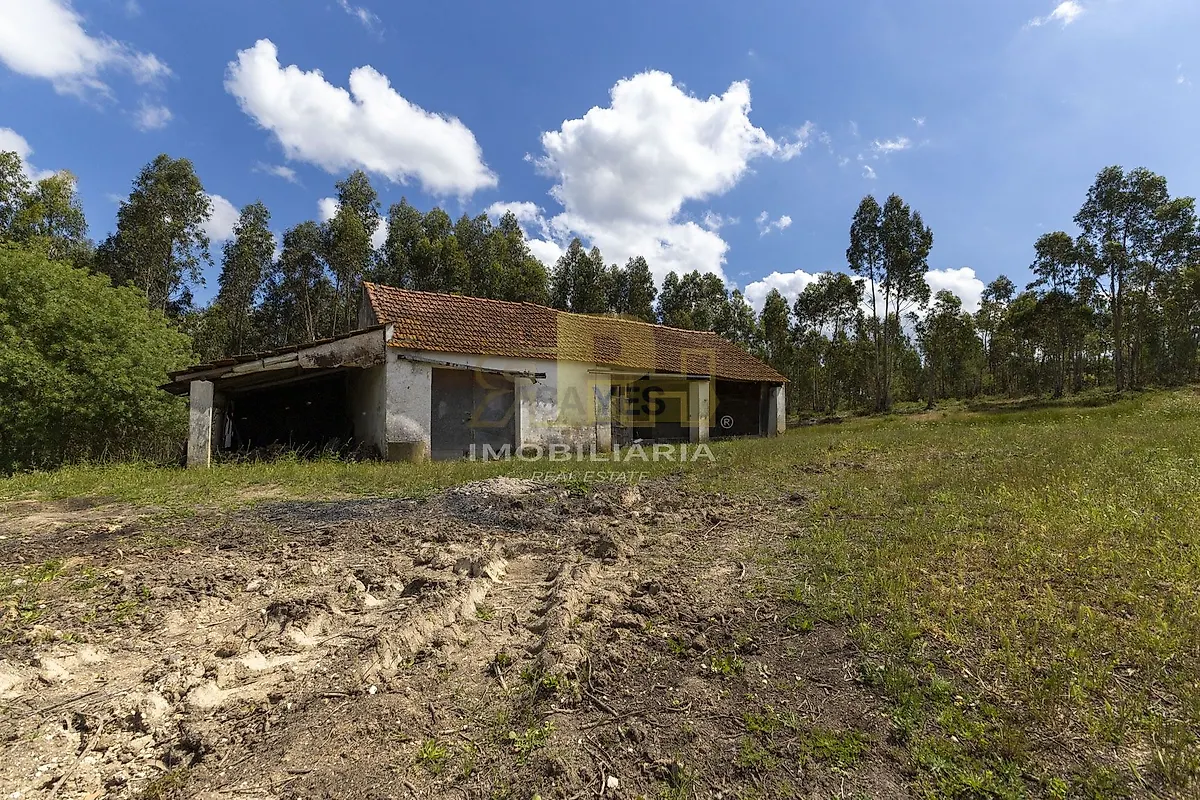 Moradia T5 à venda em Fráguas, Rio Maior — foto 30