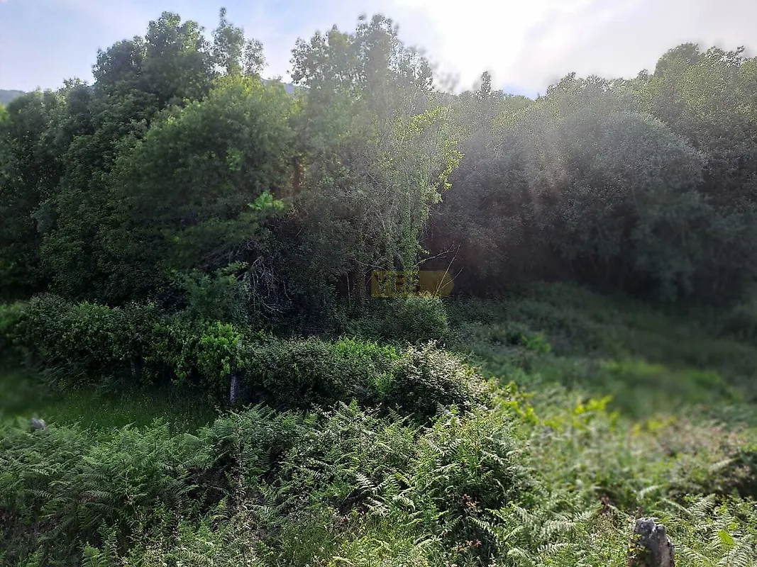 Moradia T2 à venda em Gondomil e Sanfins, Valença — foto 29