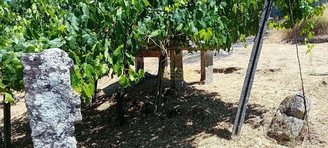 Moradia T2 à venda em Pinheiros, Monção — foto 8
