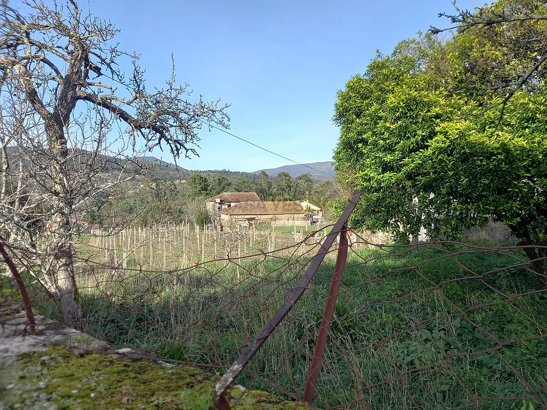 Moradia T4 à venda em Barbeita, Monção — foto 13
