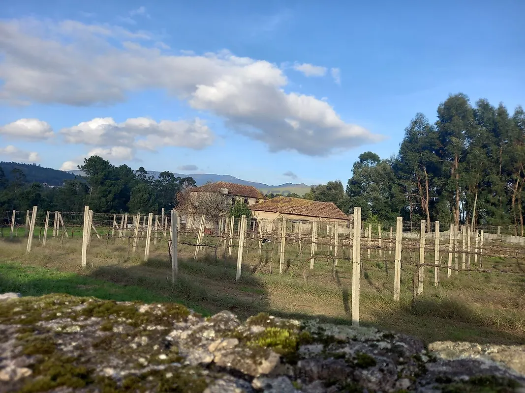 Moradia T4 à venda em Barbeita, Monção — foto 25