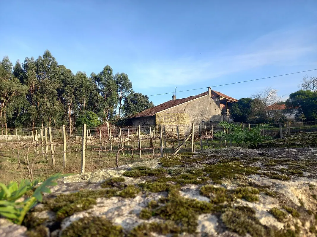 Moradia T4 à venda em Barbeita, Monção — foto 26