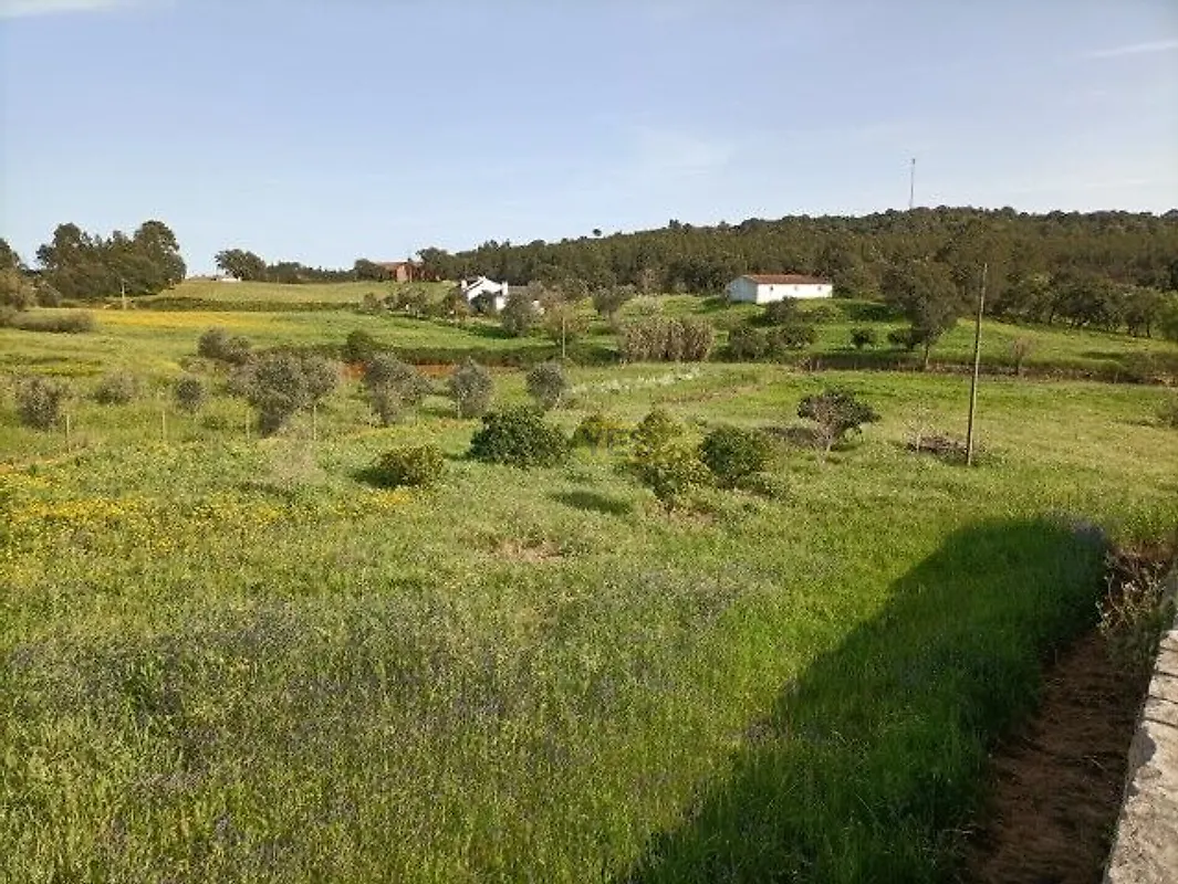 Moradia T6+ à venda em Alcobertas, Rio Maior — foto 26