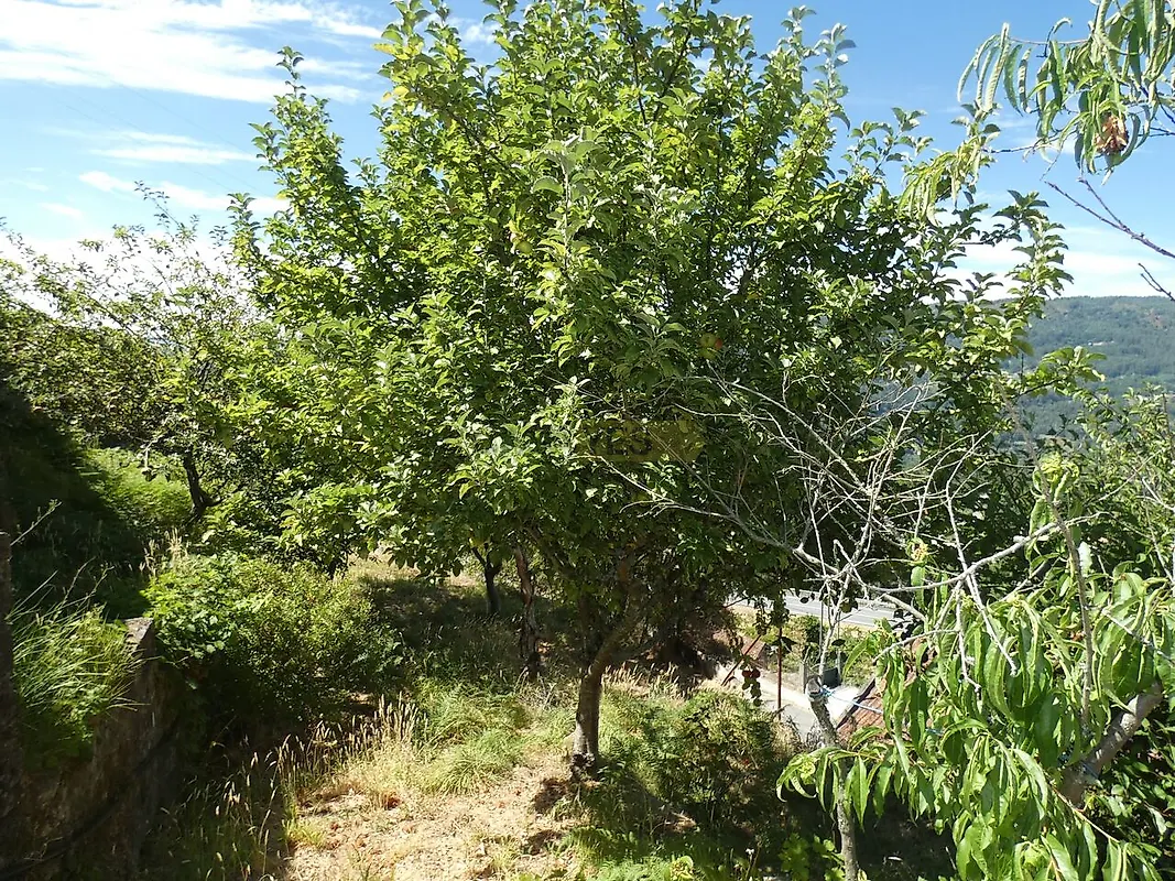 Moradia T5 à venda em Cristoval, Melgaço — foto 14