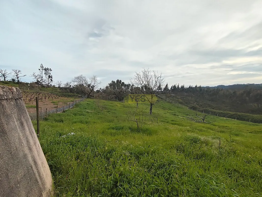 Moradia T2 à venda em Pousaflores, Ansião — foto 19