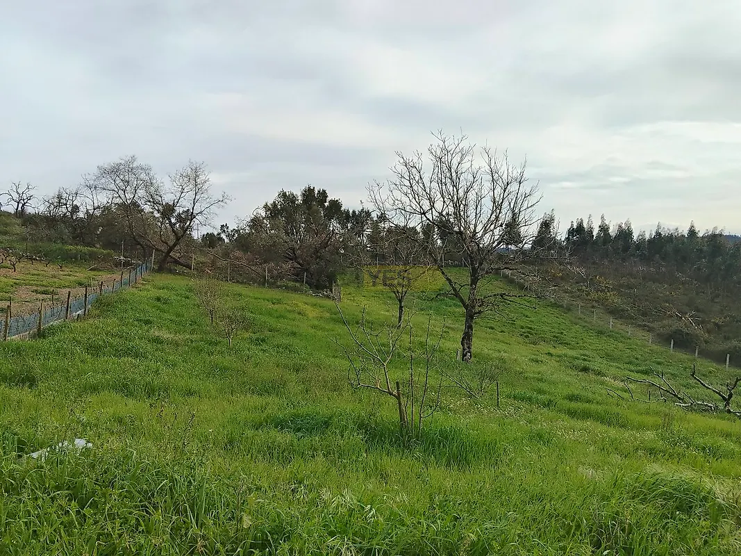 Moradia T2 à venda em Pousaflores, Ansião — foto 20