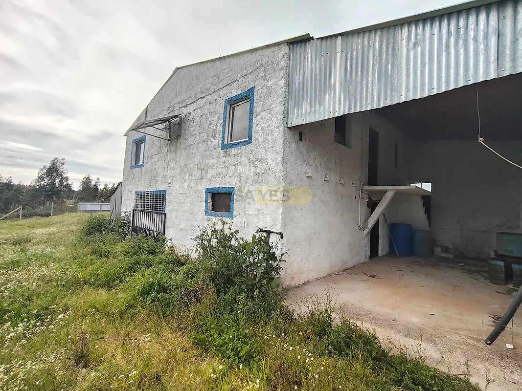 Moradia T2 à venda em Pousaflores, Ansião — foto 10