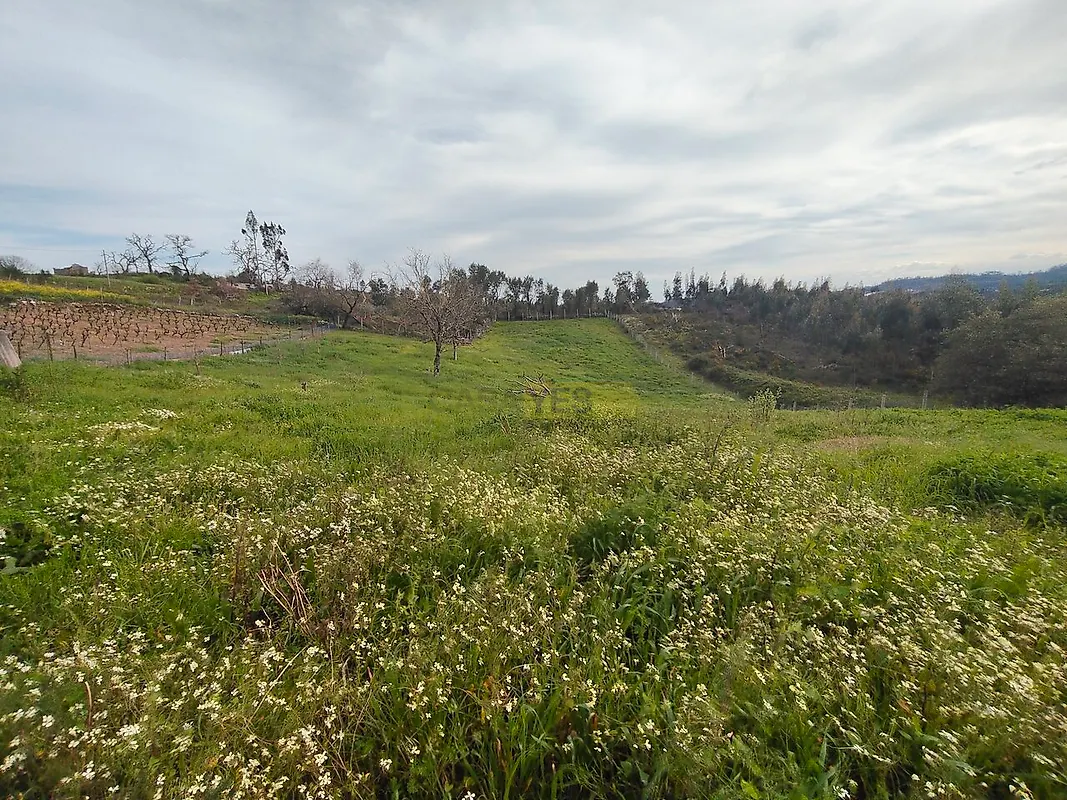 Moradia T2 à venda em Pousaflores, Ansião — foto 21