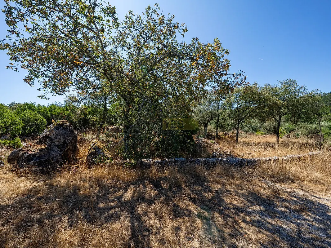 Moradia T2 à venda em Fátima, Ourém — foto 30