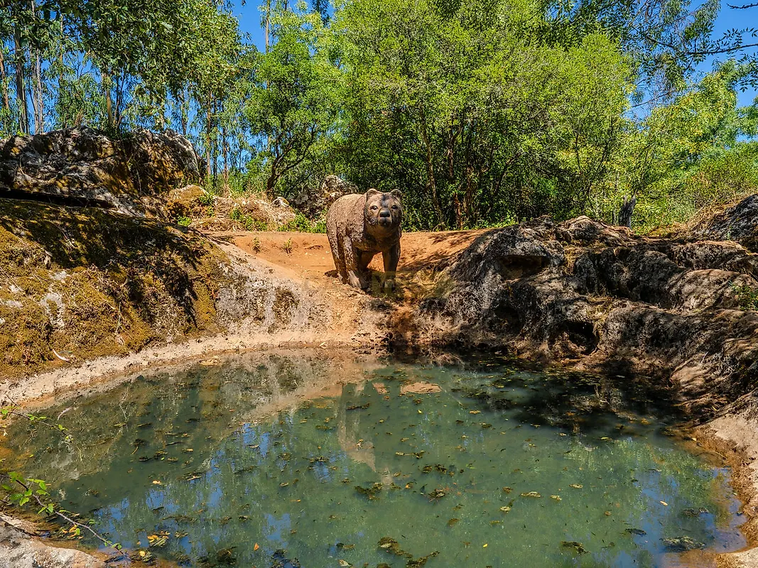 Moradia T2 à venda em Fátima, Ourém — foto 16