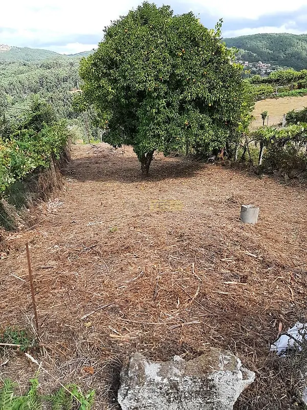 Moradia T4 à venda em Cristoval, Melgaço — foto 13