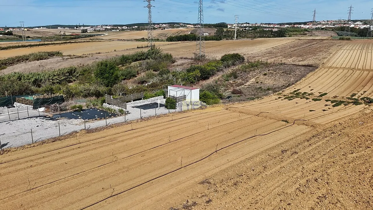 Moradia T1 à venda em Atouguia da Baleia, Peniche — foto 32