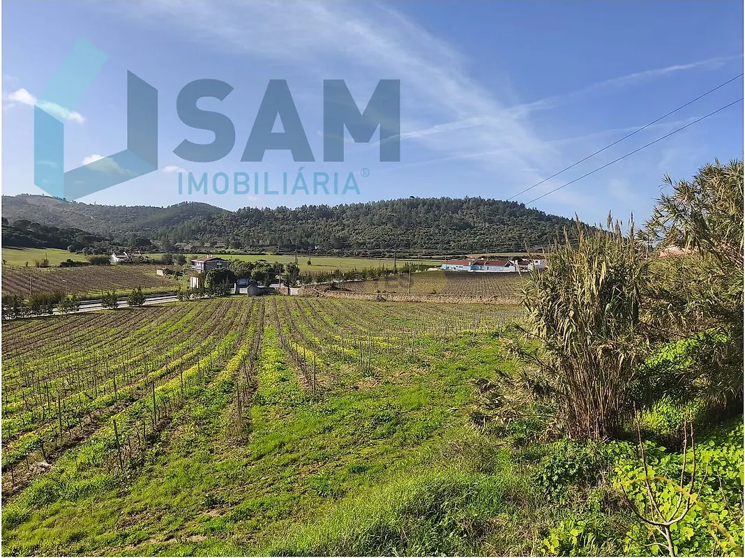 Apartamento T1 à venda em Torres Vedras (São Pedro, Santiago, Santa Maria do Castelo e São Miguel) e Matacães, Torres Vedras — foto 21