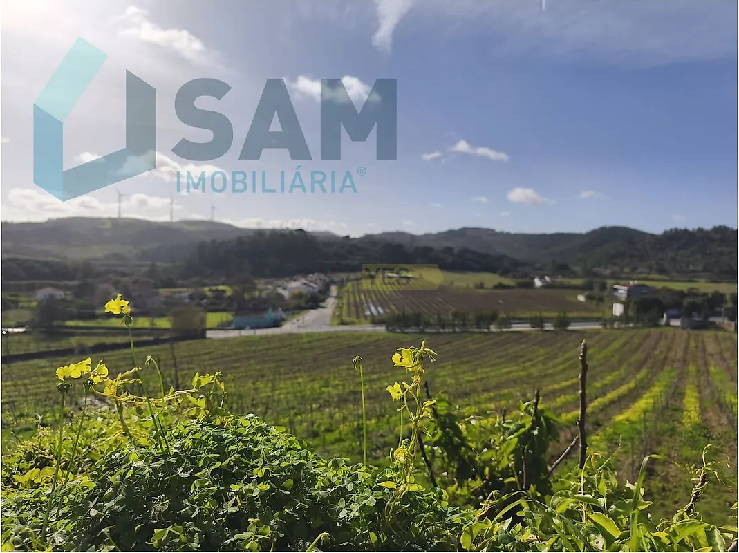 Apartamento T1 à venda em Torres Vedras (São Pedro, Santiago, Santa Maria do Castelo e São Miguel) e Matacães, Torres Vedras — foto 22