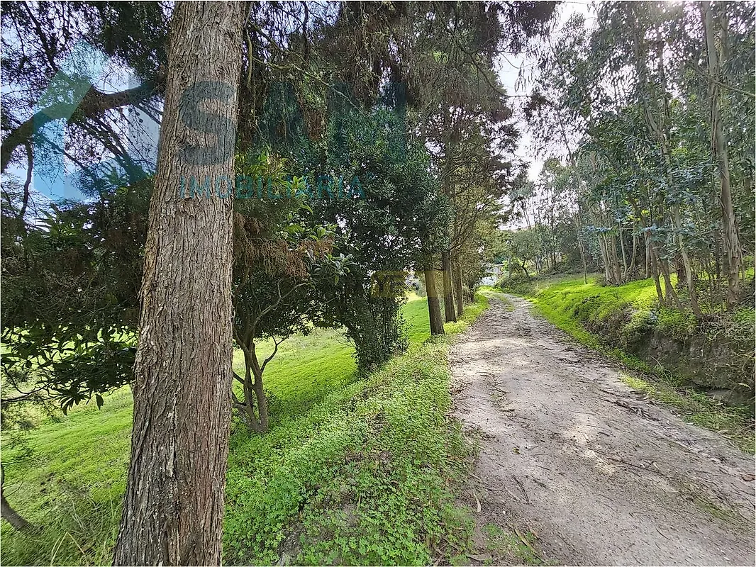 Moradia T3 à venda em Torres Vedras (São Pedro, Santiago, Santa Maria do Castelo e São Miguel) e Matacães, Torres Vedras — foto 34