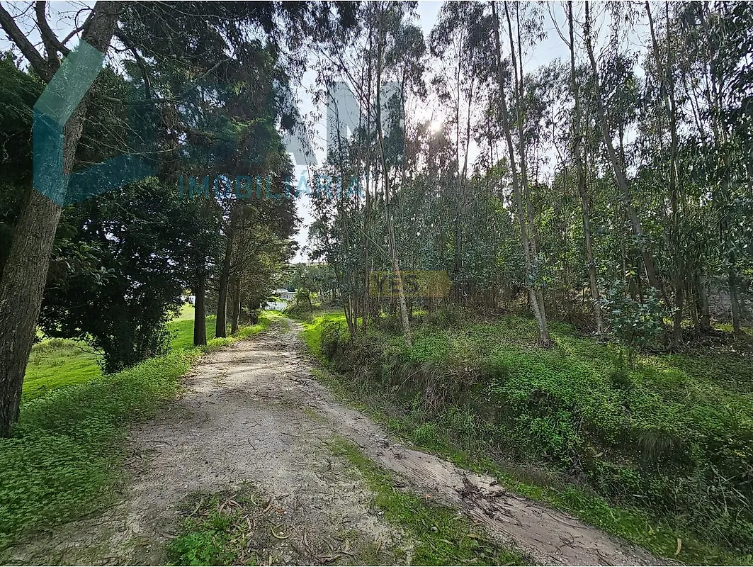 Moradia T3 à venda em Torres Vedras (São Pedro, Santiago, Santa Maria do Castelo e São Miguel) e Matacães, Torres Vedras — foto 36