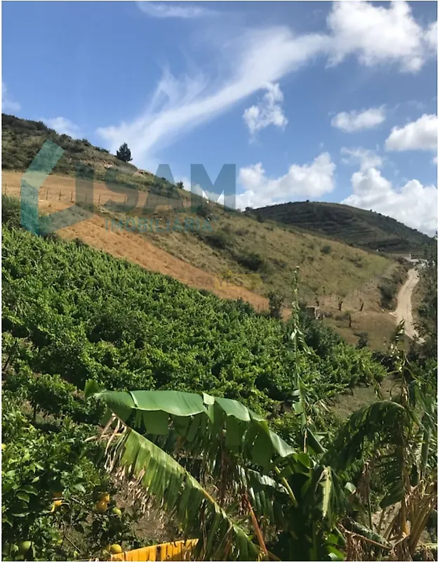Moradia T2 à venda em Torres Vedras (São Pedro, Santiago, Santa Maria do Castelo e São Miguel) e Matacães, Torres Vedras — foto 22