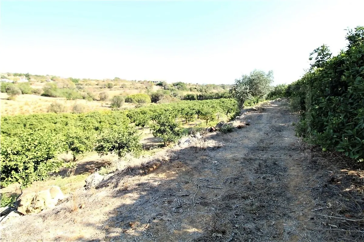 Moradia T0 à venda em Alcantarilha e Pêra, Silves — foto 4