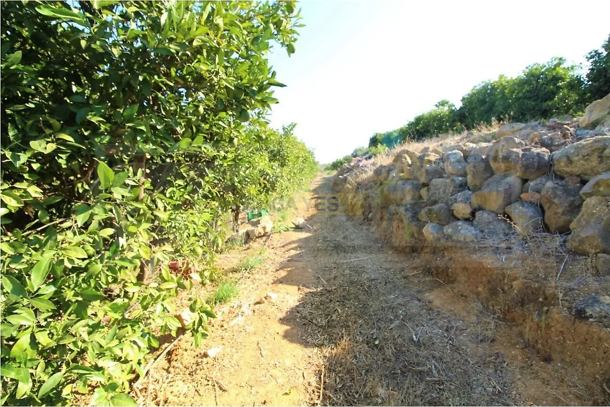 Moradia T0 à venda em Alcantarilha e Pêra, Silves — foto 5
