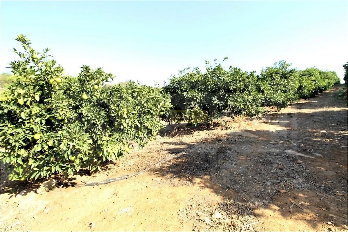 Moradia T0 à venda em Alcantarilha e Pêra, Silves — foto 7
