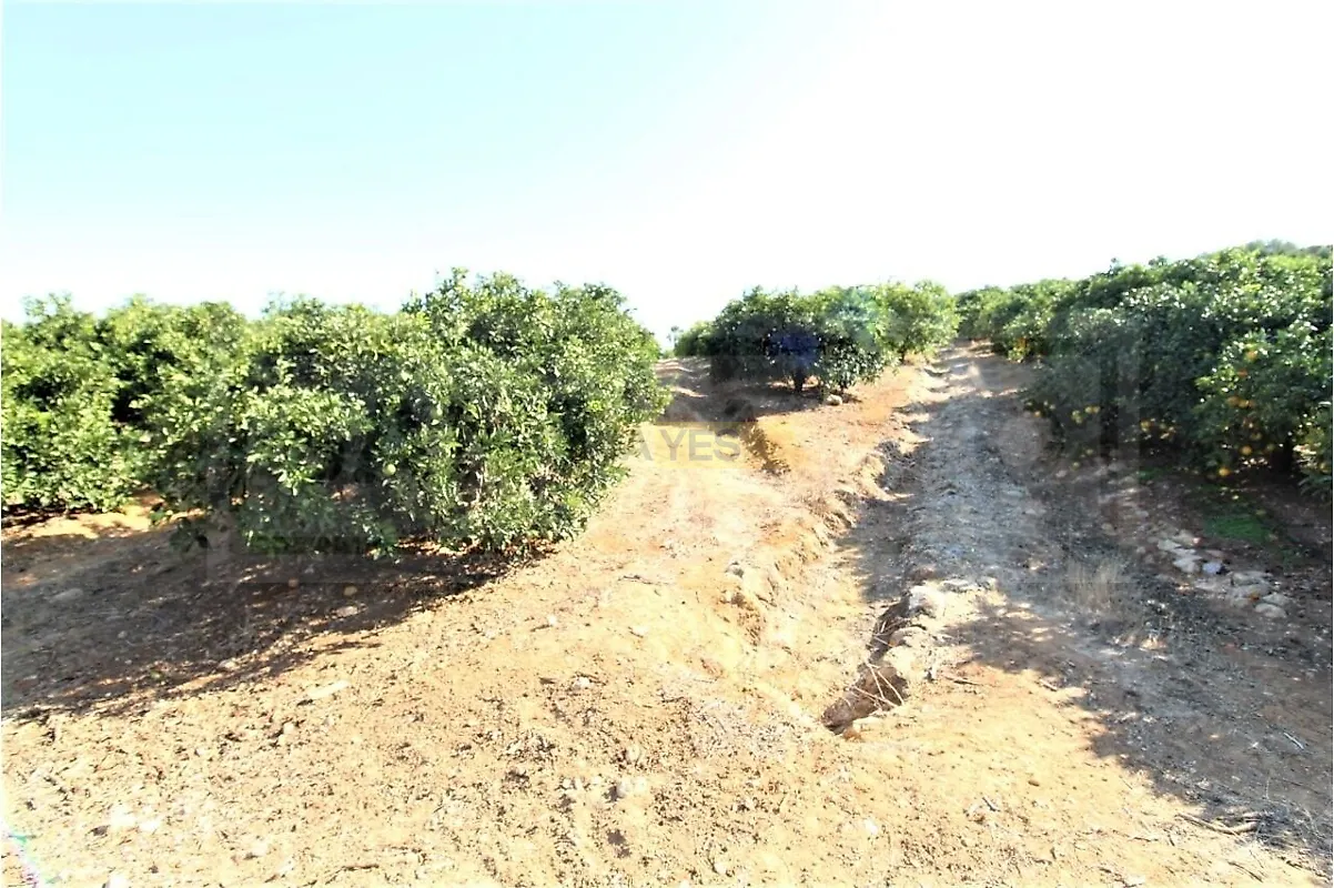 Moradia T0 à venda em Alcantarilha e Pêra, Silves — foto 8