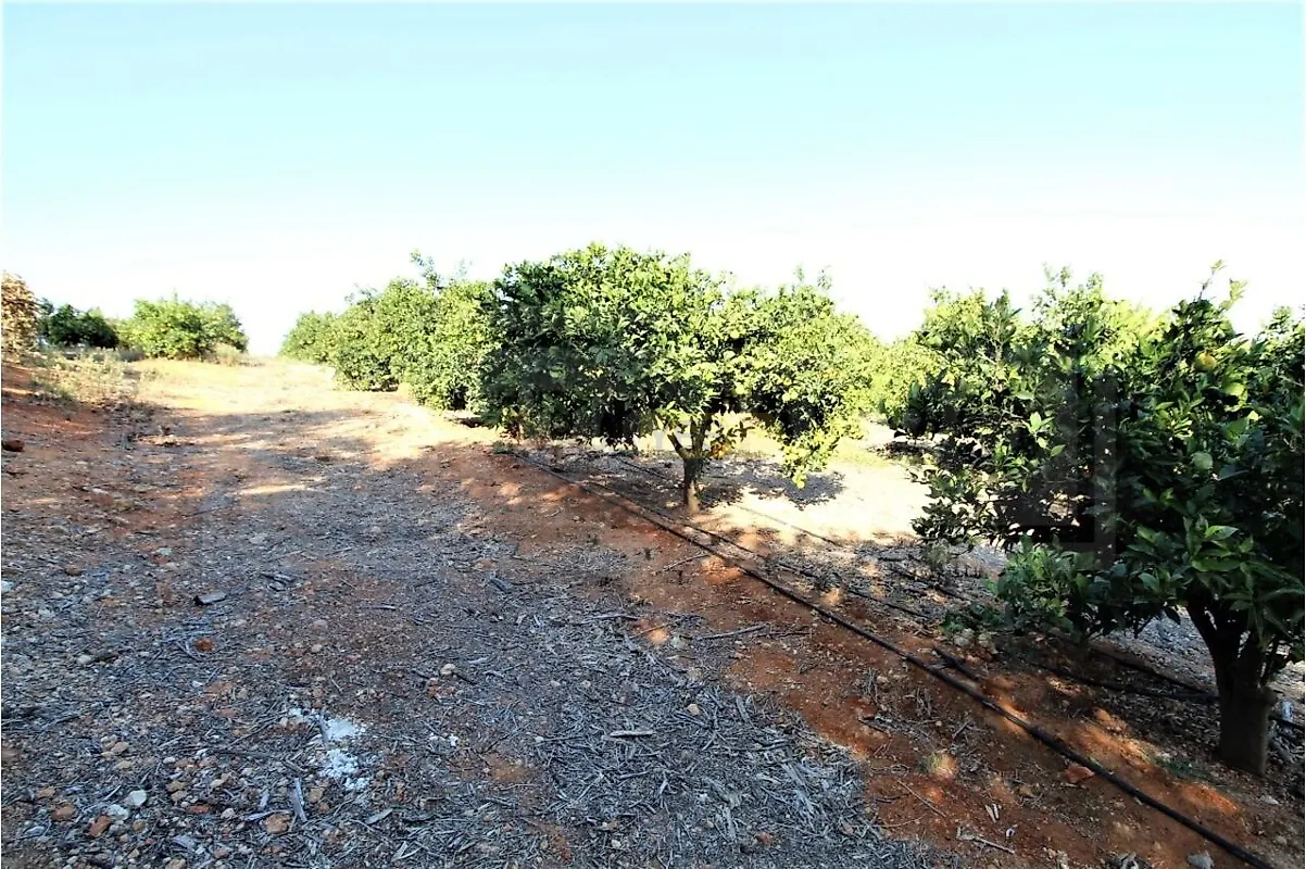 Moradia T0 à venda em Alcantarilha e Pêra, Silves — foto 10