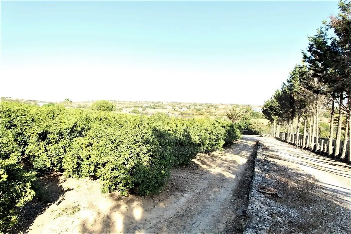 Moradia T0 à venda em Alcantarilha e Pêra, Silves — foto 15