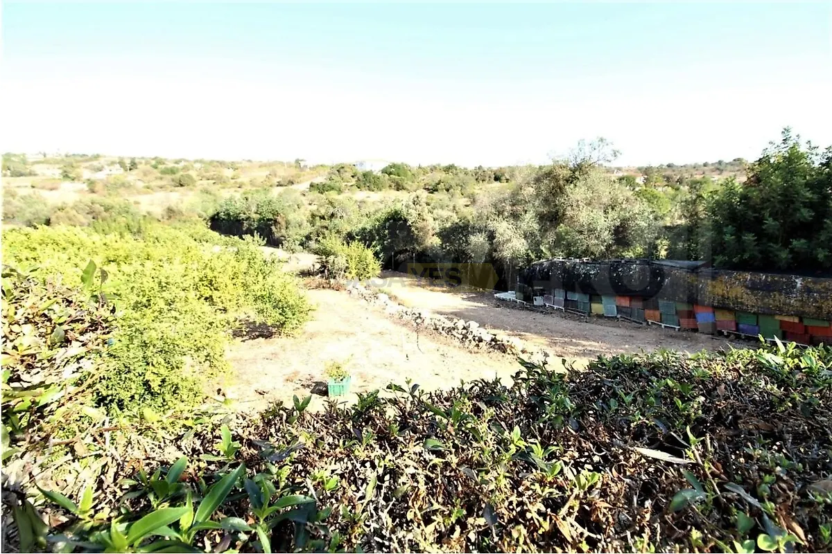 Moradia T0 à venda em Alcantarilha e Pêra, Silves — foto 16