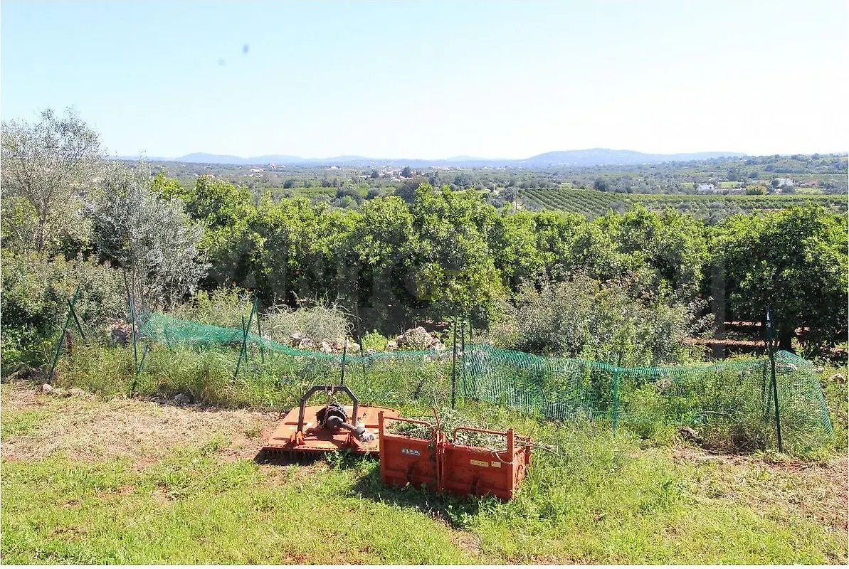 Moradia T0 à venda em Algoz e Tunes, Silves — foto 17