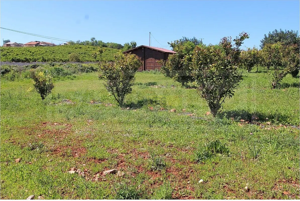 Moradia T0 à venda em Algoz e Tunes, Silves — foto 33