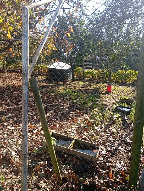Moradia T5 à venda em Mozelos, Santa Maria da Feira — foto 20
